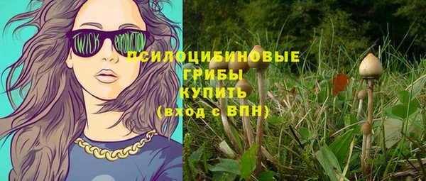 2c-b Бердск