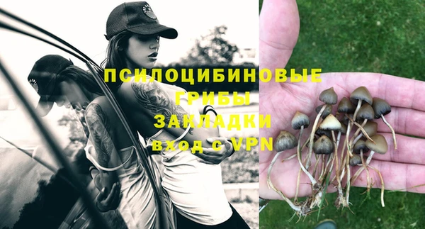 прущая мука Ачинск