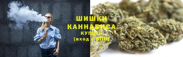 2c-b Бердск